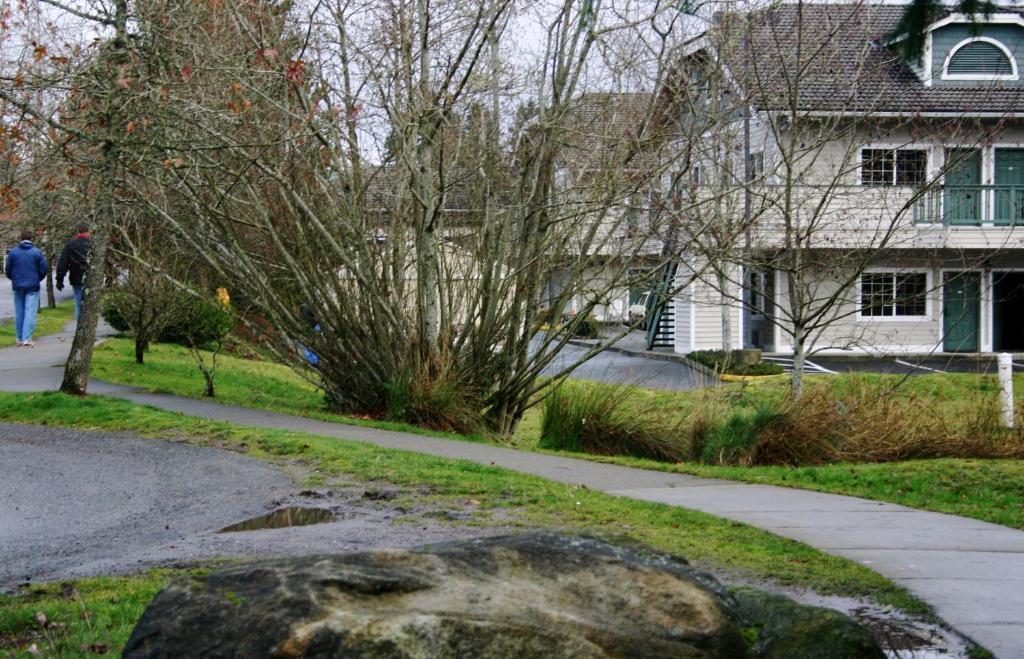 Quality Inn & Suites Bainbridge Island Dış mekan fotoğraf